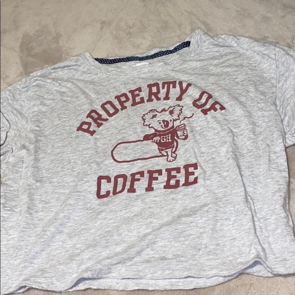 Hollister gilly hicks cropped tee